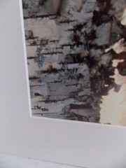 WOLF PHOTOGRAPH BY WARREN MAGILL LIMITED EDITION 20″ X 16″