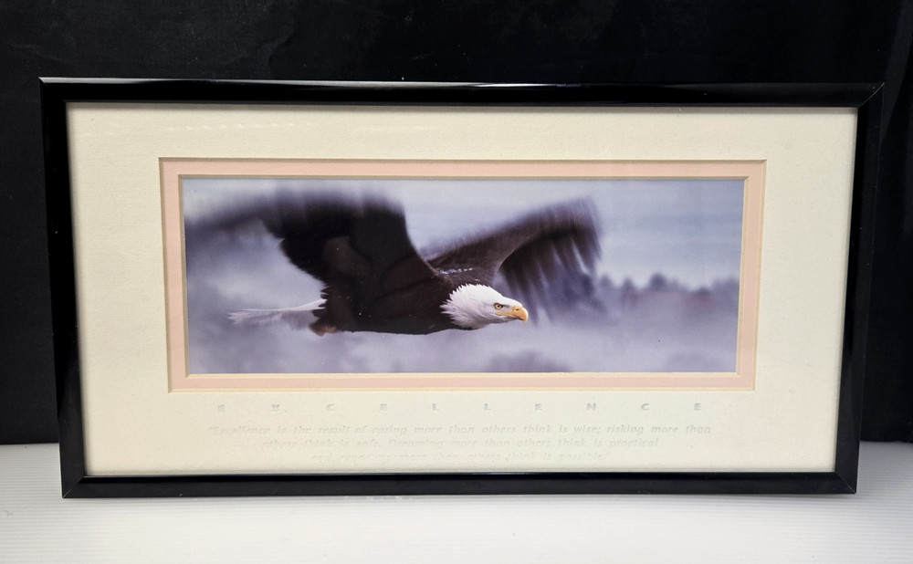 Excellence King Of The Skies Eagle Photo Art Framed Frank Oberle Photography
