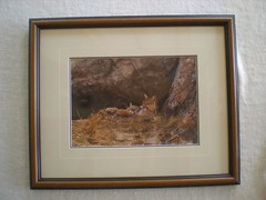 Thomas Mangelsen «Mother’s Love Mountain Lions» Out of Print, Original Signed
