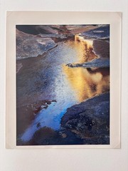 ELIOT PORTER «River edge at sunset, below Piute Rapids» (1962) Signed C-Print