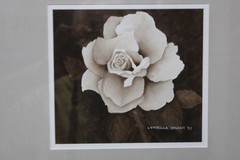 Vtg Gorgeous B&W Rose Dbl Matted Print Signed & Dated 13×14 Framed