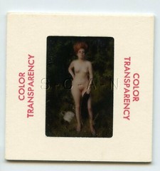 Org Camera Club Nude 60s 35mm Slide Negative- Endowed Woman Outdoors in Field 17