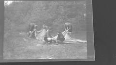 Negative Migratory Bird Boy Scout Free Flare Circa 1930 Flag 5x8cm