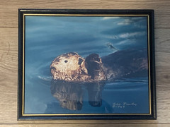 Leo Keeler Signed Sea Otter Photograph Kickin’ Back 1987 Cordova Alaska