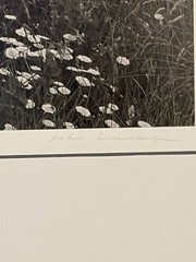 Vtg John Lawrence 1980’s Signed Art Photograph Jackson Mississippi Artist