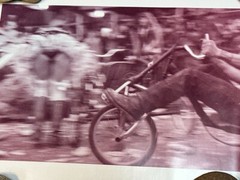 Janine Gordon Photograph 60″x24″ C-print Edition Grid Bike Kill Signed Fine Art