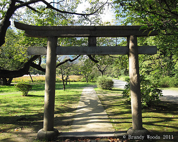 Japan Tokyo Torii gate temple shinto shrine photography art print – Brandy Woods
