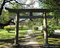 Japan Tokyo Torii gate temple shinto shrine photography art print – Brandy Woods