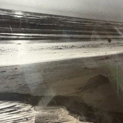 Ansel Adams Birds on a Beach Evening Framed Framed 1966 Photo 12×14 Wall Art VTG