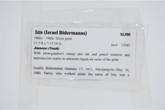Vintage 1960’s Silver Print, Framed: Izis Bidermanas Jeunesse (youth)
