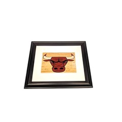 Scott Fishman Original Chicago Bulls Photo Signed, Matted, Framed 12 x 10″