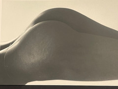Curiosa Large Vintage Nude Female Photo Original Print 20th Century Eroticism