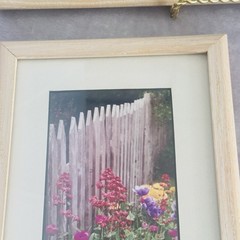 Signed Joseph Barnett Floral Photo Prints Set Maine Artist Framed Garden 6×12