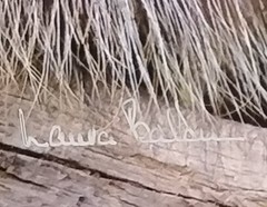 Original Wildlife Photography Art Print Baby Porcupine 16″ X 13″ Artist Signed