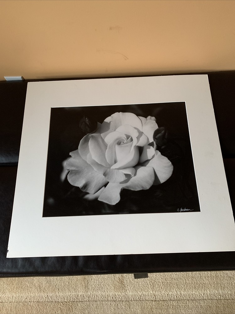 C. Goodman 2002 Original Signed Macro Photography White Rose 25×27.5 Matted