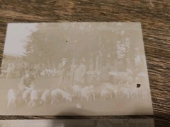 Saint Saturnin le Barry Aveyron Pig Fair Antique Photos Original Print Sepia