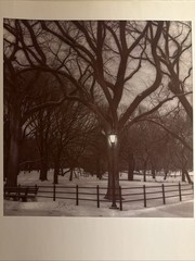Gilles Larrain Photography The Coldest Night Signed And Dated 1995 Poster