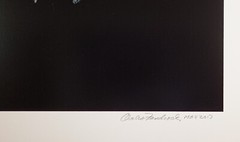 Original Large Format Black & White Photo Grasshopper by Charles Fendrock