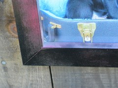 Black Labrador Retriever Puppy Picture Photography 8″x10″ with Handmade Reliced