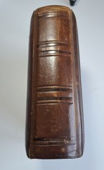 Heavy Photo Album Leather Embossed Art Nouveau 19th century 22 Photos