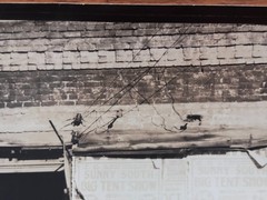 WALKER EVANS Original Silver Gelatin «Sidewalk scene in Selma, Alabama» 1935