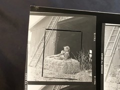 NEWLY FOUND Hendrickson PHOTO Contact Sheet Proof/Negs GIRL HOLDS KITTEN & DUCKS