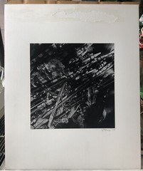 Vintage 1975 Photograph Vietnam Era Art Tattered Flags Signed Joseph Duze USA