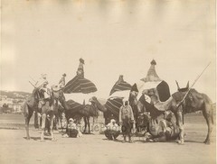 Algeria warriors men with rifles and dressed camels antique ethnic albumen photo
