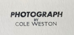 Signed Weston Photo Gelatin Silver 19 1/2″x15 3/4″ 1976