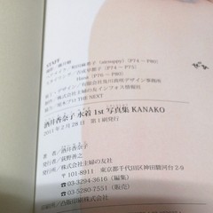 Kanako Sakai Swimsuit Photo Book 1st Edition Japan Shipped Fujii