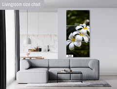 Island Elegance: Hawaiian White Plumeria Flower Wall Art Nature Print