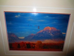 Thomas Mangelsen «Changing Seasons» Grand Tetons 68/950 10″x14″ Signed