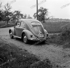 Negative-Volkswagen-Beetle-VW-Betle-Automotive-Automotive-3