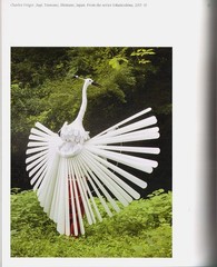 AVIARY: The Bird in Contemporary Photography by Ewing/Exquisite images/NEW/HB