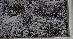 JUDY DEIST PHOTOGRAPH RIDERS IN SNOWY SAGE OPEN EDITION
