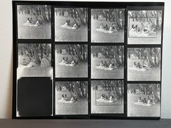 NEWLY FOUND! Hendrickson PHOTO Contact Sheet Proof & Negatives VICTORIAN COUPLES