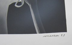 Signed 8×10” b&w photograph Calla lilies follower of Mapplethorpe