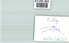 40055893 – 5584 Bullay Local View