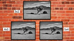 BW Rock Tree in Uyuni Desert, High Resolution Image, Many Formats, TV Art