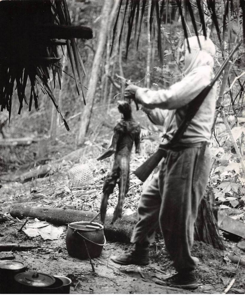 Press Photo. AM21161. Approximately 24×18 Cm. Monkey Eating