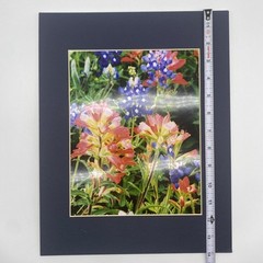 Matted Pink Blue Flowers Nature Photo Print 11 X 14 Wall Art Gallery Decor