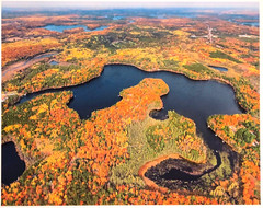 Lower Kaubashine Lake Hazelhurst Oneida Co, Wisc. Overhead Photo. Frame Optional