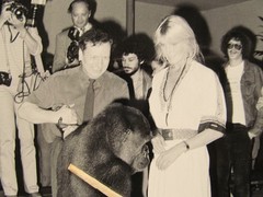 Young gorilla with Kurt Walter and actress? Berlin Zoo Large Photo