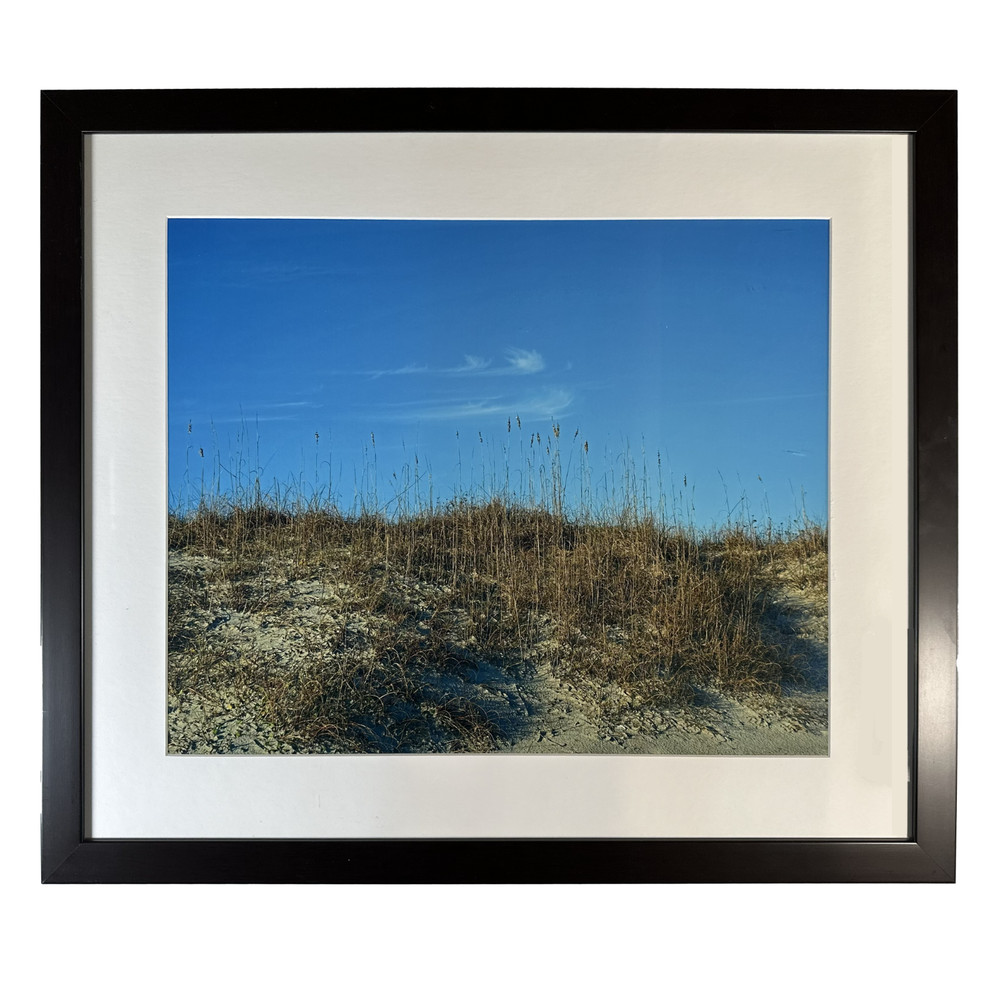 Topsail Beach, Framed Photograph of Dune Grass- size 27.25″ x 23.25″