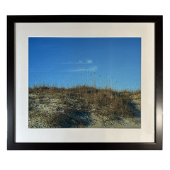 Topsail Beach, Framed Photograph of Dune Grass- size 27.25″ x 23.25″