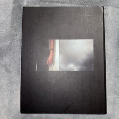Liza Ryan Works 1993-2000 – Essays by Charles Merewether- Cinubia First Edition