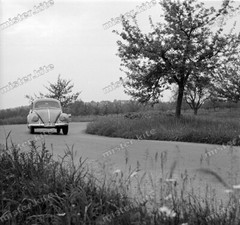Negative-Volkswagen-Beetle-VW-Betle-Automotive-Automotive-2