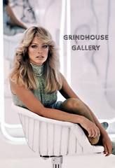 FARRAH FAWCETT Celebrity Pin-Up POSTER Print #25 Private Collection in Store