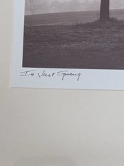 Richard Calvo ‘In Just Spring’ Framed Black & White Landscape Tree Photograph