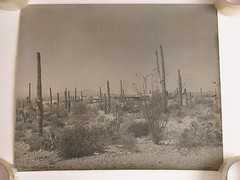 Orig 1940s B&W Photograph PAPAGO DESERT LAND AZ signed Joseph Reinbold 16X19